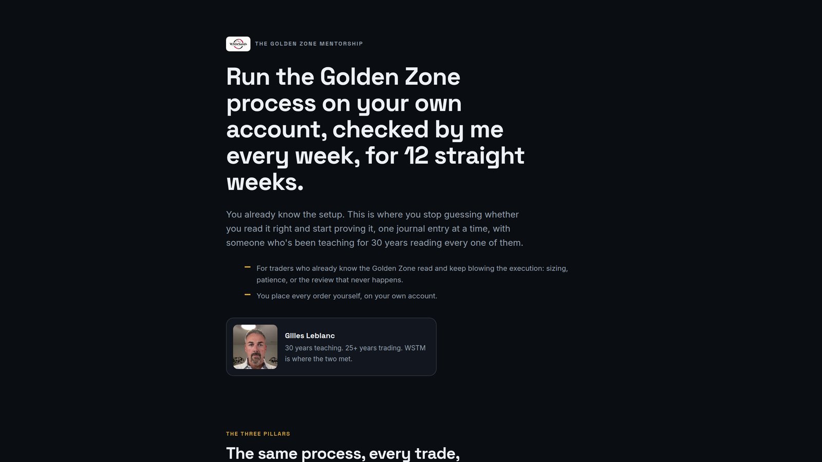 The Golden Zone Mentorship preview